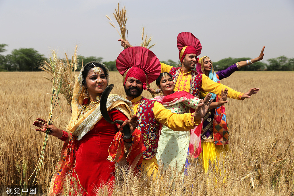 印度民众身着传统服饰田间起舞迎接丰收节