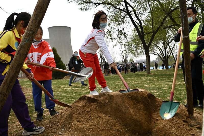 北京冬奥公园内的“中国冰雪冠军林”，隋文静（中）与参加活动的青少年等共同植