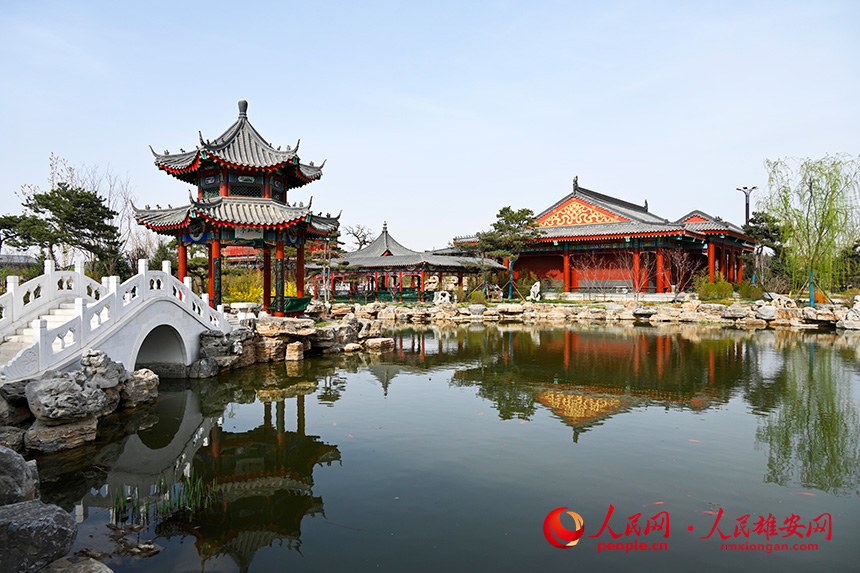 春天的雄安郊野公园,春和景明.胡忠摄
