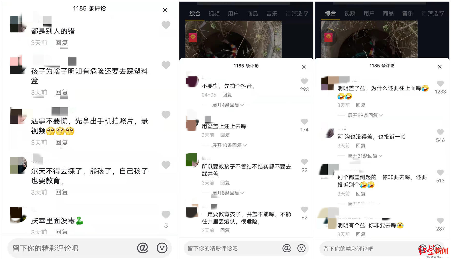 ↑网友评论
