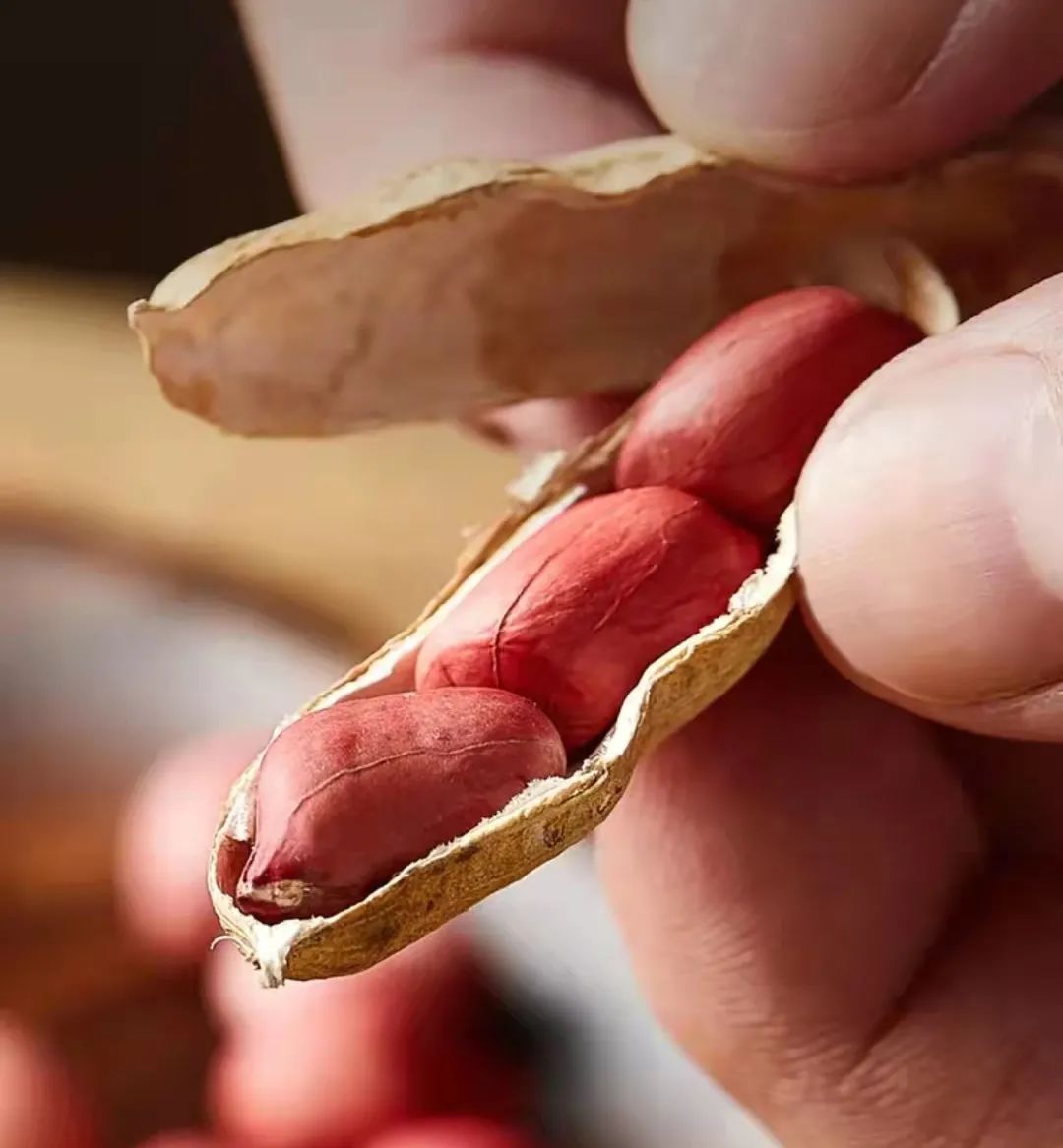 一颗大花生的使命