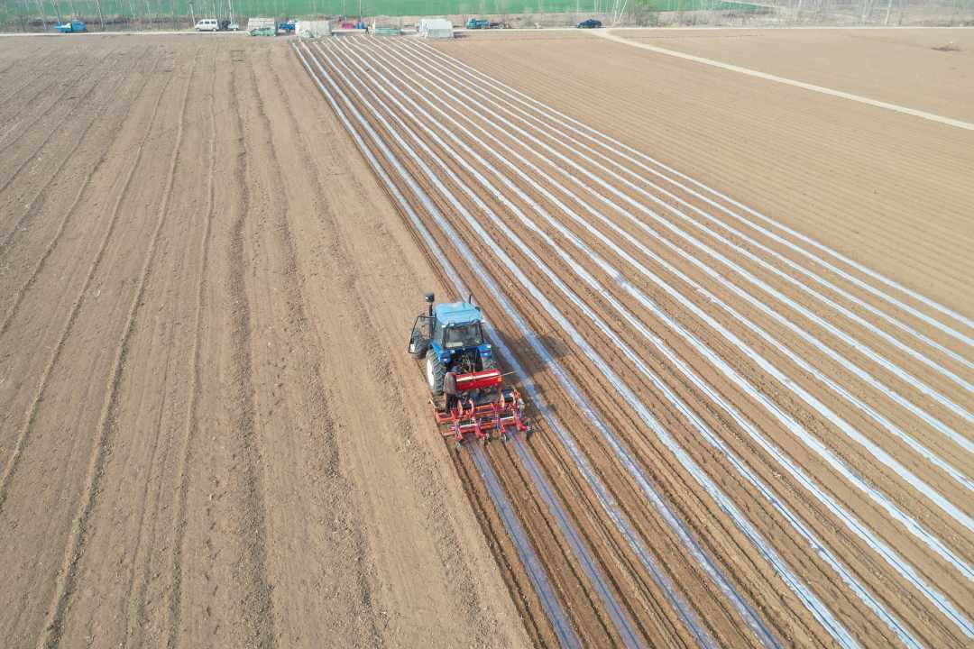 永清县后奕镇东义和村农民正在驾驶农用机械铺设地膜和滴灌带航拍图.