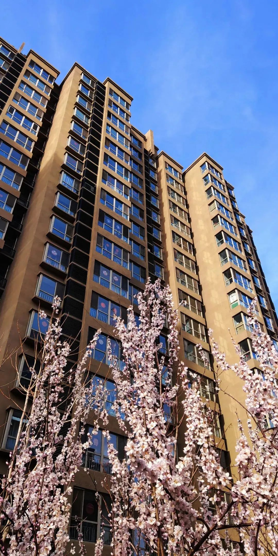 以艺抗疫主题摄影大美廊坊