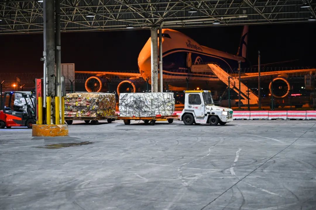 日前，上海浦东国际机场在转运货物。（浦东机场供图）