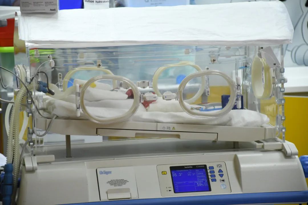 一家醫院拍攝的新生嬰兒 圖片來源:新華社