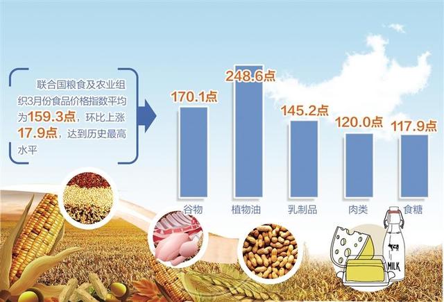 联合国粮农组织发布数据显示 世界粮价升至历史最高水平 价格指数 新浪财经 新浪网