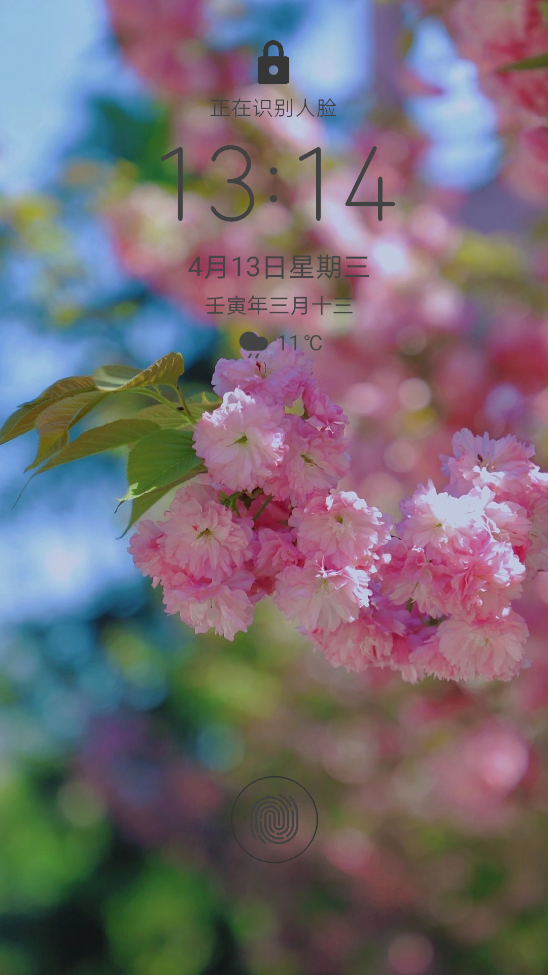 春日壁纸专属nauer的限定美好