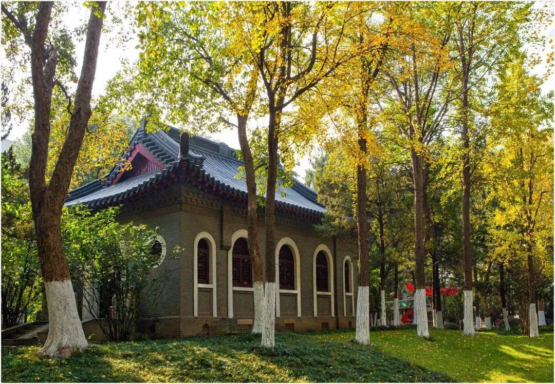 致我的南大:爱你不止两三句|南大|南京大学_新浪新闻