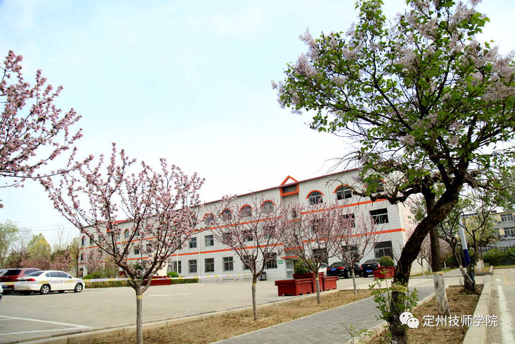 校园的春天定州技师学院的美就在那里