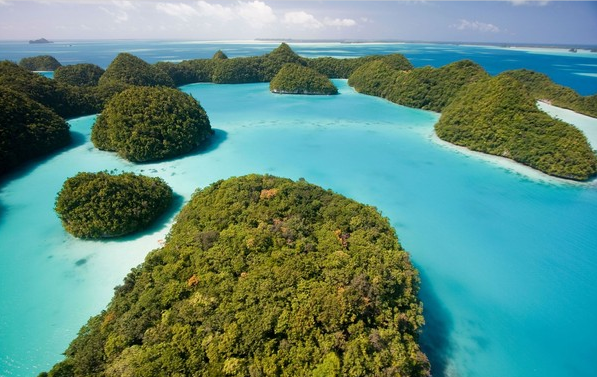 台当局派团赴帕劳开会炒作外事突破回来后12人确诊新冠