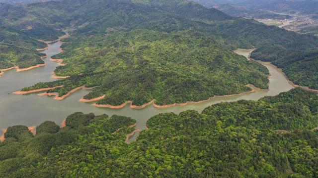 福建武夷山东溪水库春色.(邱汝泉 摄)