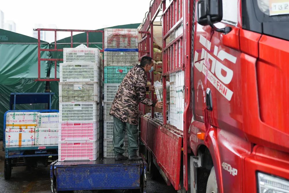 4月13日,在合肥百大周谷堆大兴农产品物流园,一辆货车在进行果蔬装