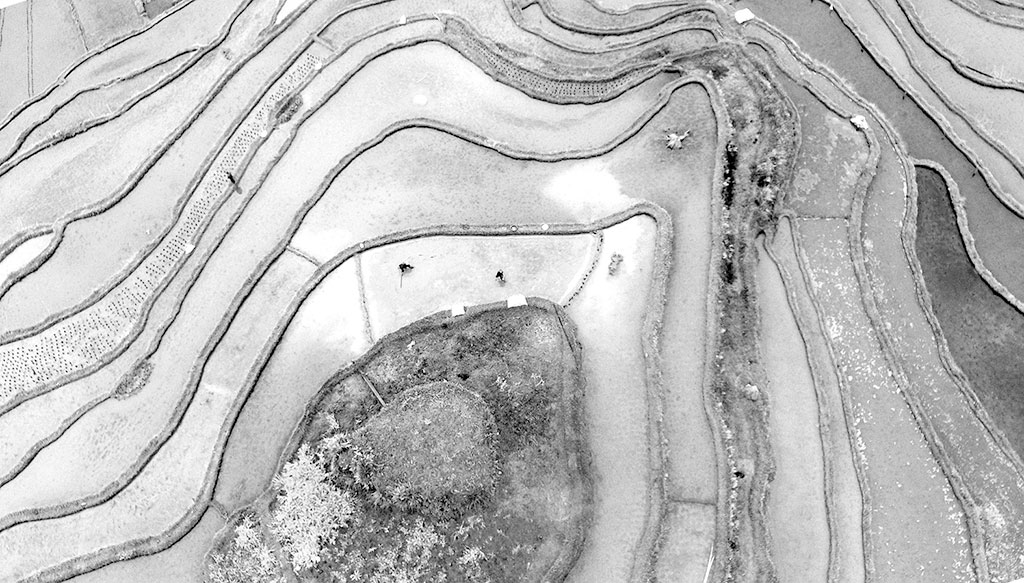 �����������������ʡǭ�������嶱�������ݴӽ���ũ����ץũʱ���д������֣�������������æµ�����ǵ���Ӱ�� ����ǰ ��