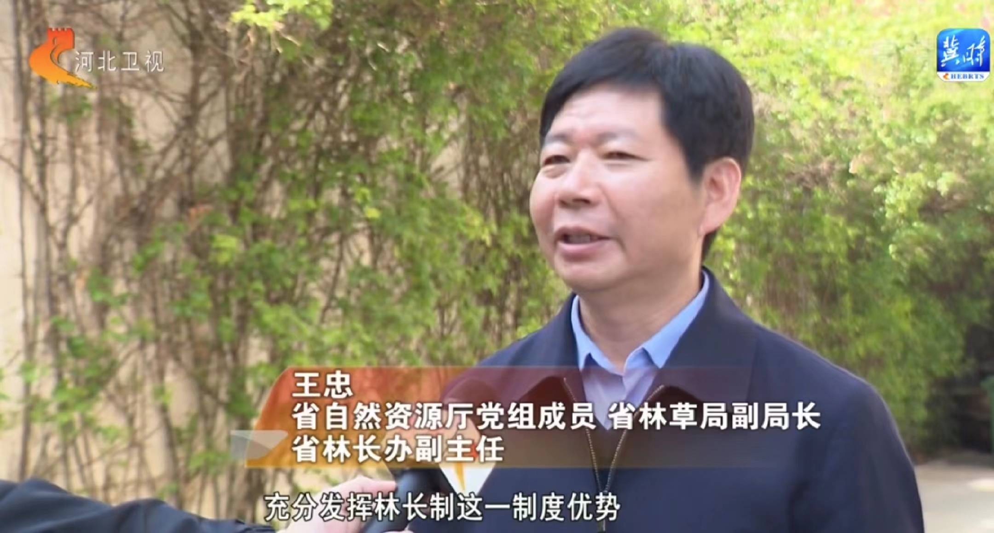 奋进新征程建功新时代河北推行林长制实现林长治