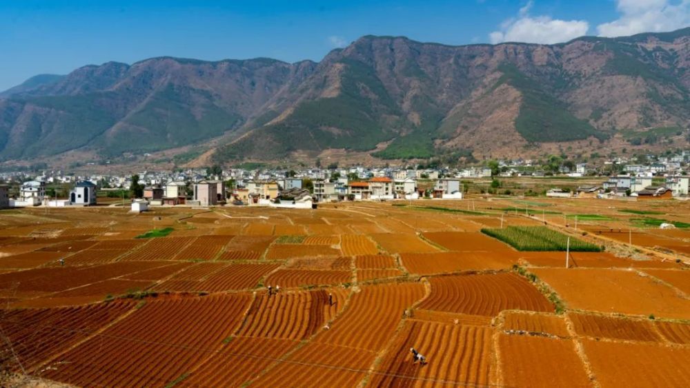 丽江永胜春耕画卷徐徐展开