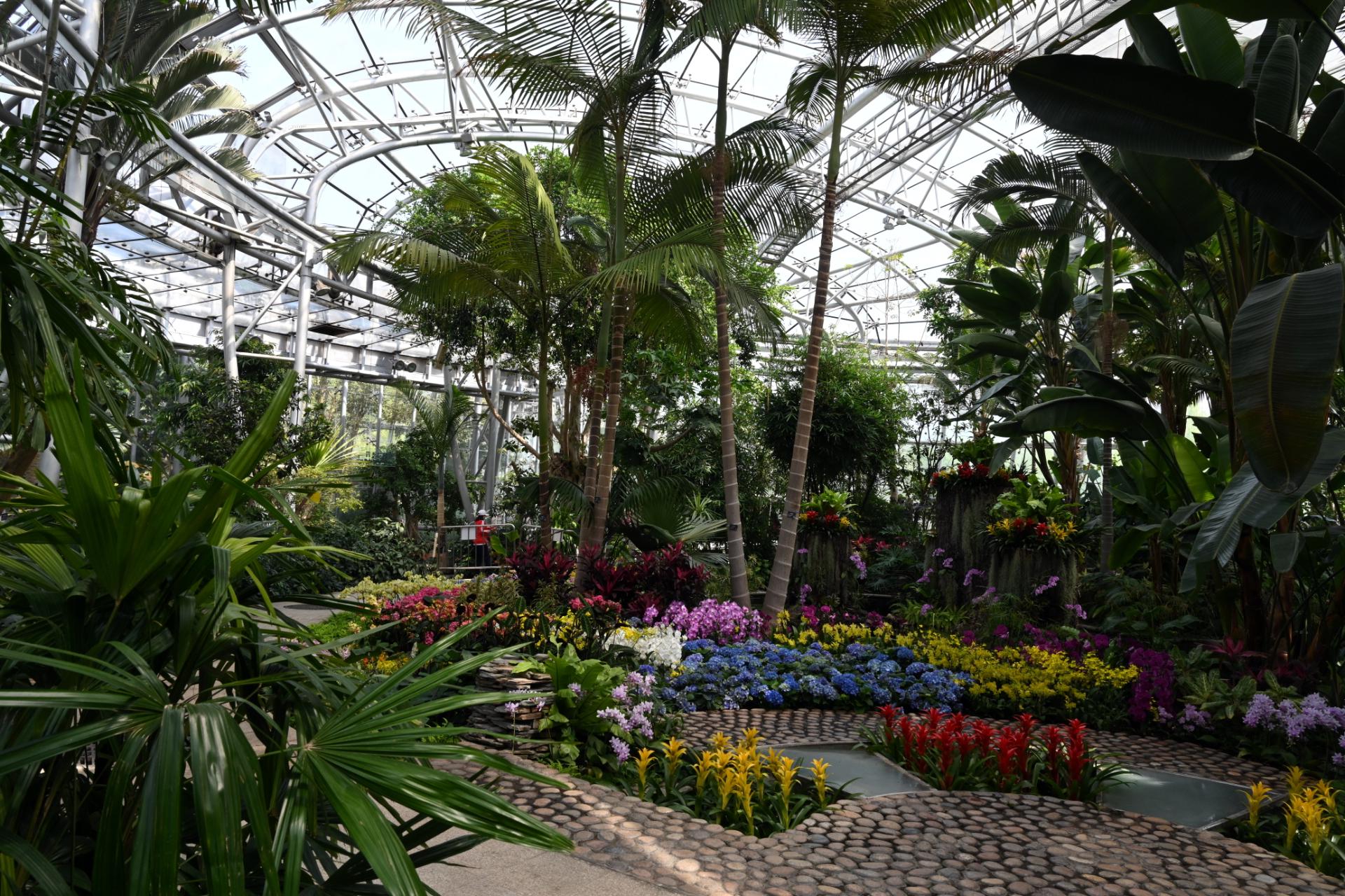 图集国家植物园里有什么