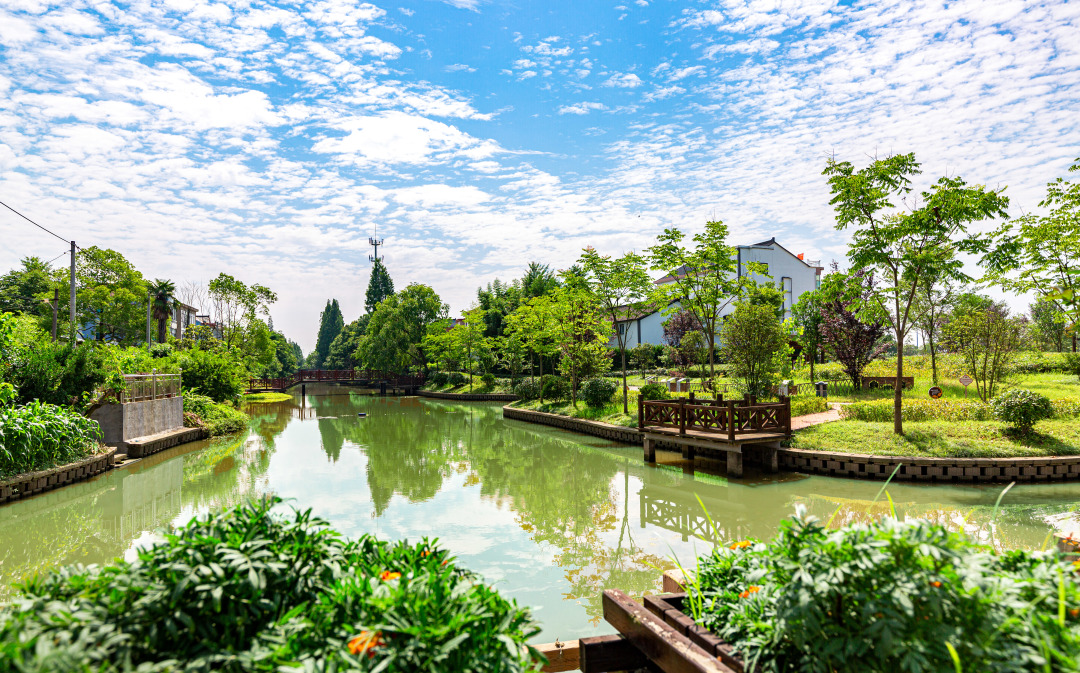 海宁火车站旁的小胡同,烟火记忆与城市变迁的共生密码