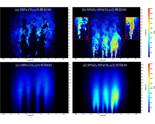 图1 两种典型的微混火焰形态（OH浓度场）