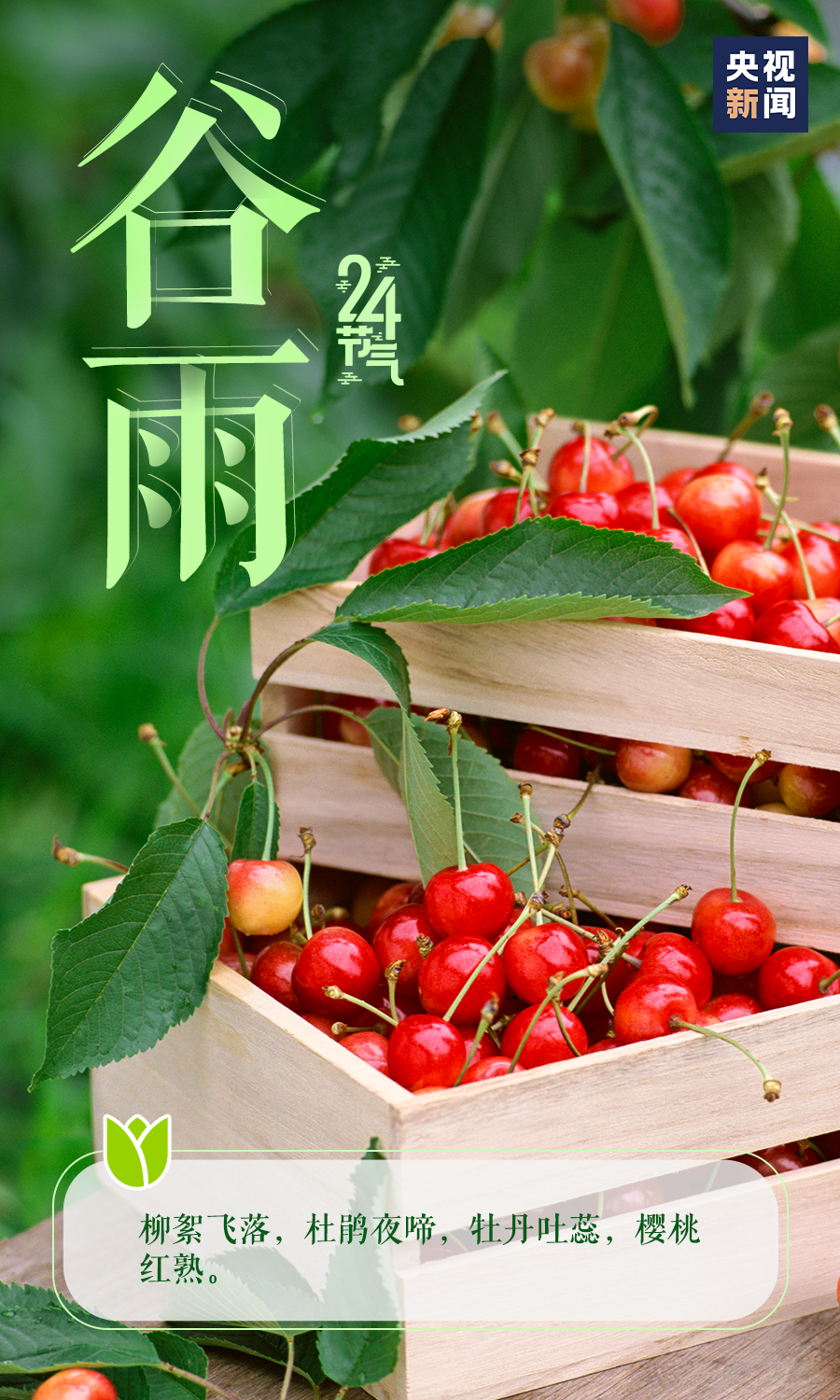 今日谷雨春归谷雨夏日将至