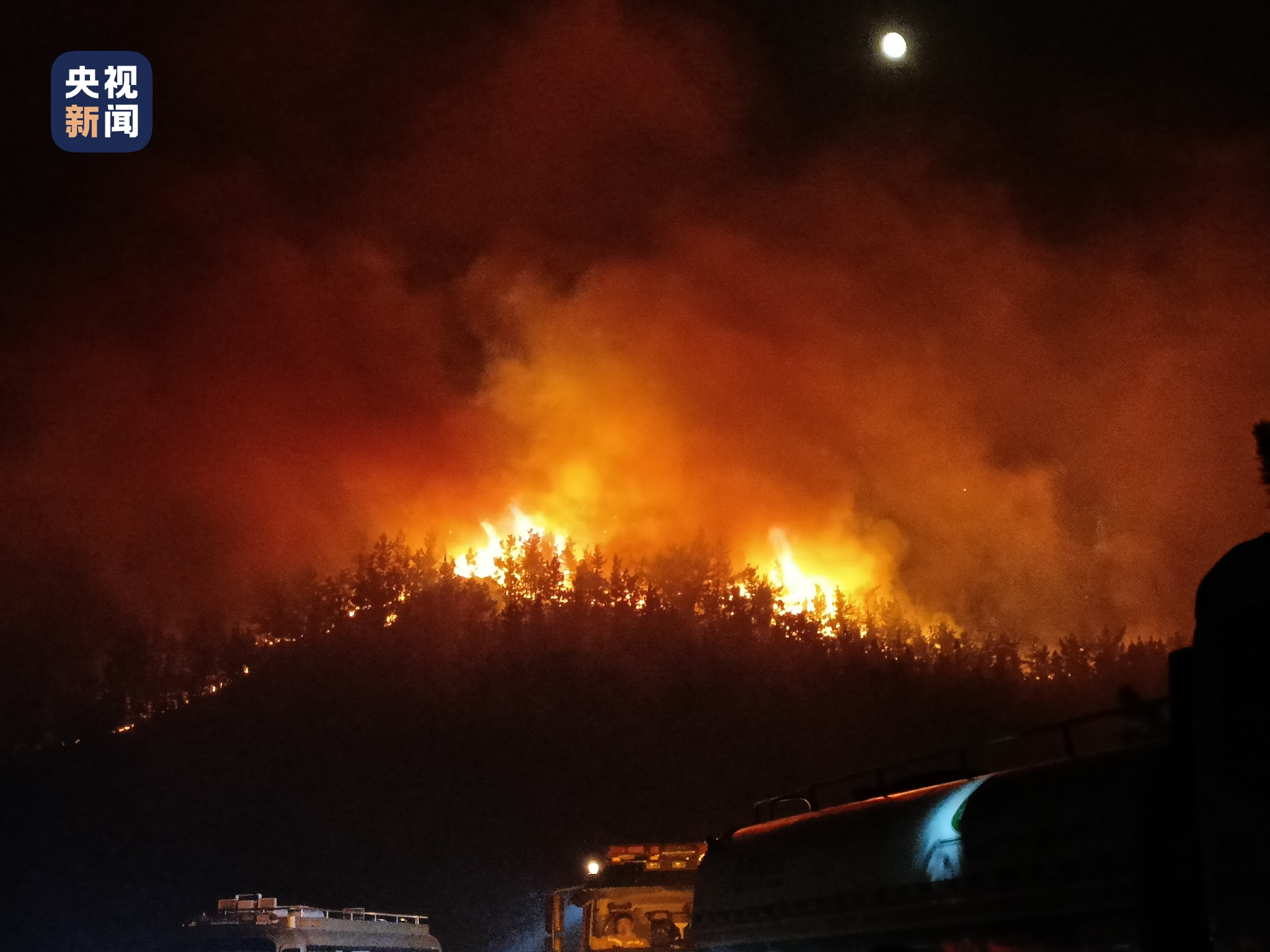 山东青岛发生山火 扑救工作仍在进行