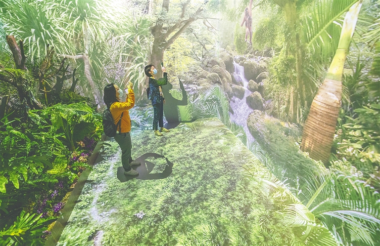 2022年博鳌亚洲论坛公园雨林文化展开展