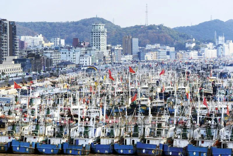 舟山渔场盛景(劳马 摄)