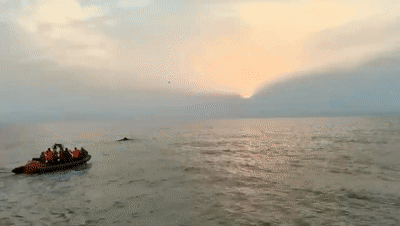 图源：人民日报