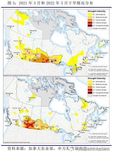 农产品加拿大菜籽产区天气及新季供需预估