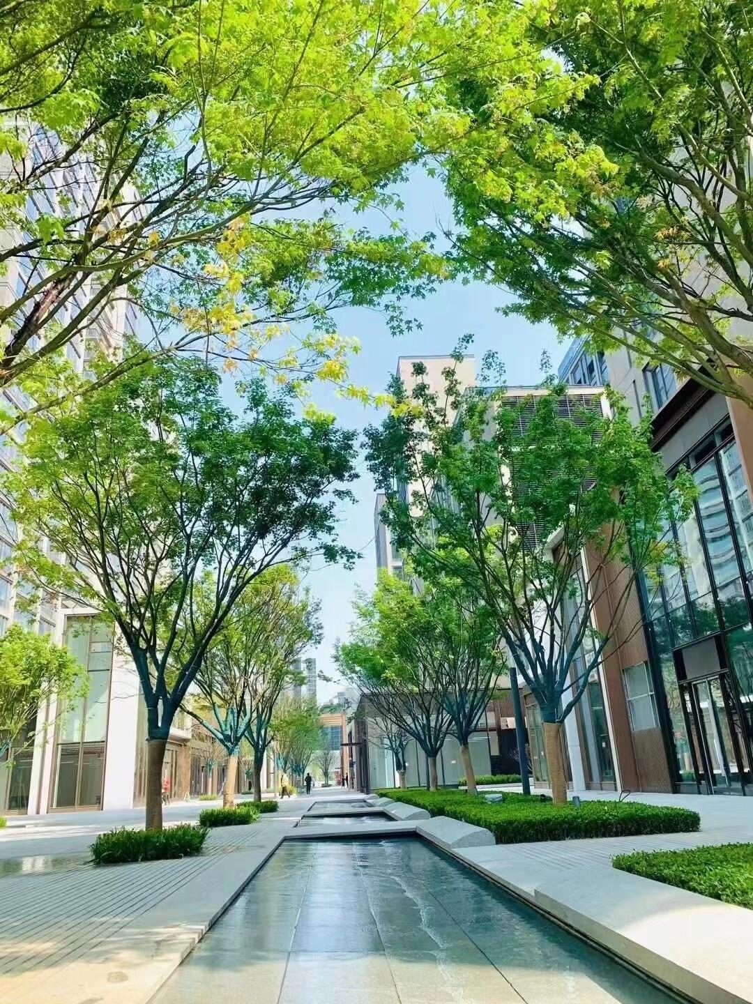 杭州首座万象天地来了与地铁6号线亚运村站无缝连接