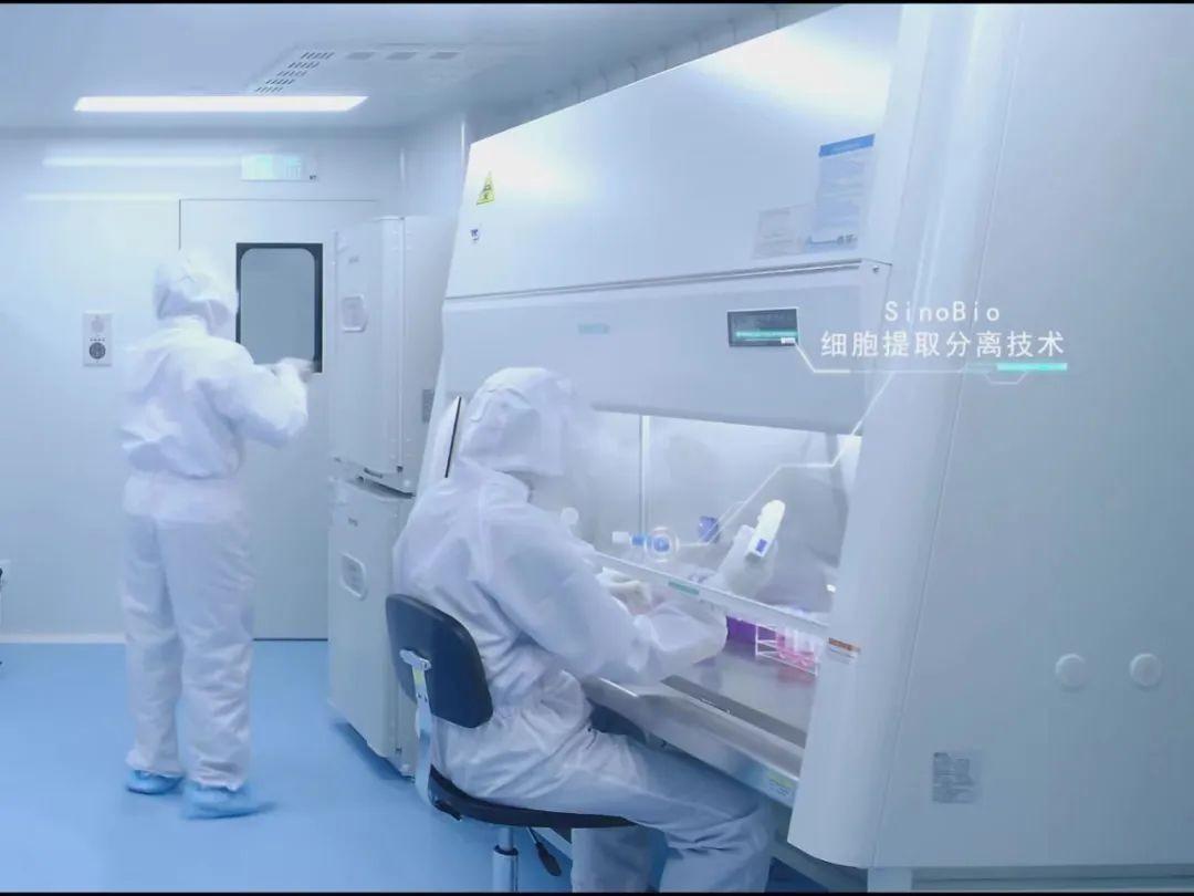 华域生物MSCs制剂获得中检院《检验报告》|干细胞|生物_新浪新闻