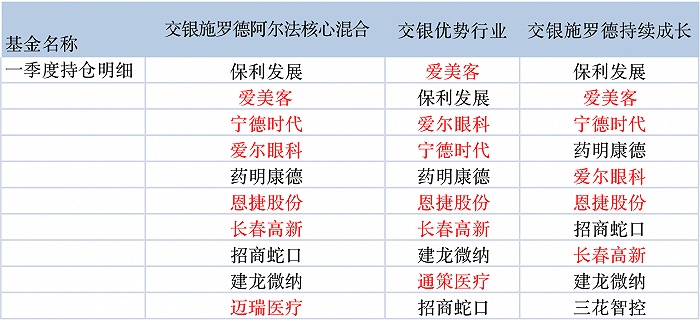 图：何帅管理基金一季度重仓股明细（标红为新增）来源：Wind 界面新闻研究部