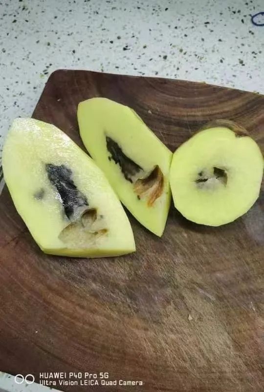 "发放的物资中有5种蔬菜和4个橙子,其中4个洋葱烂了3个,2个土豆都烂了