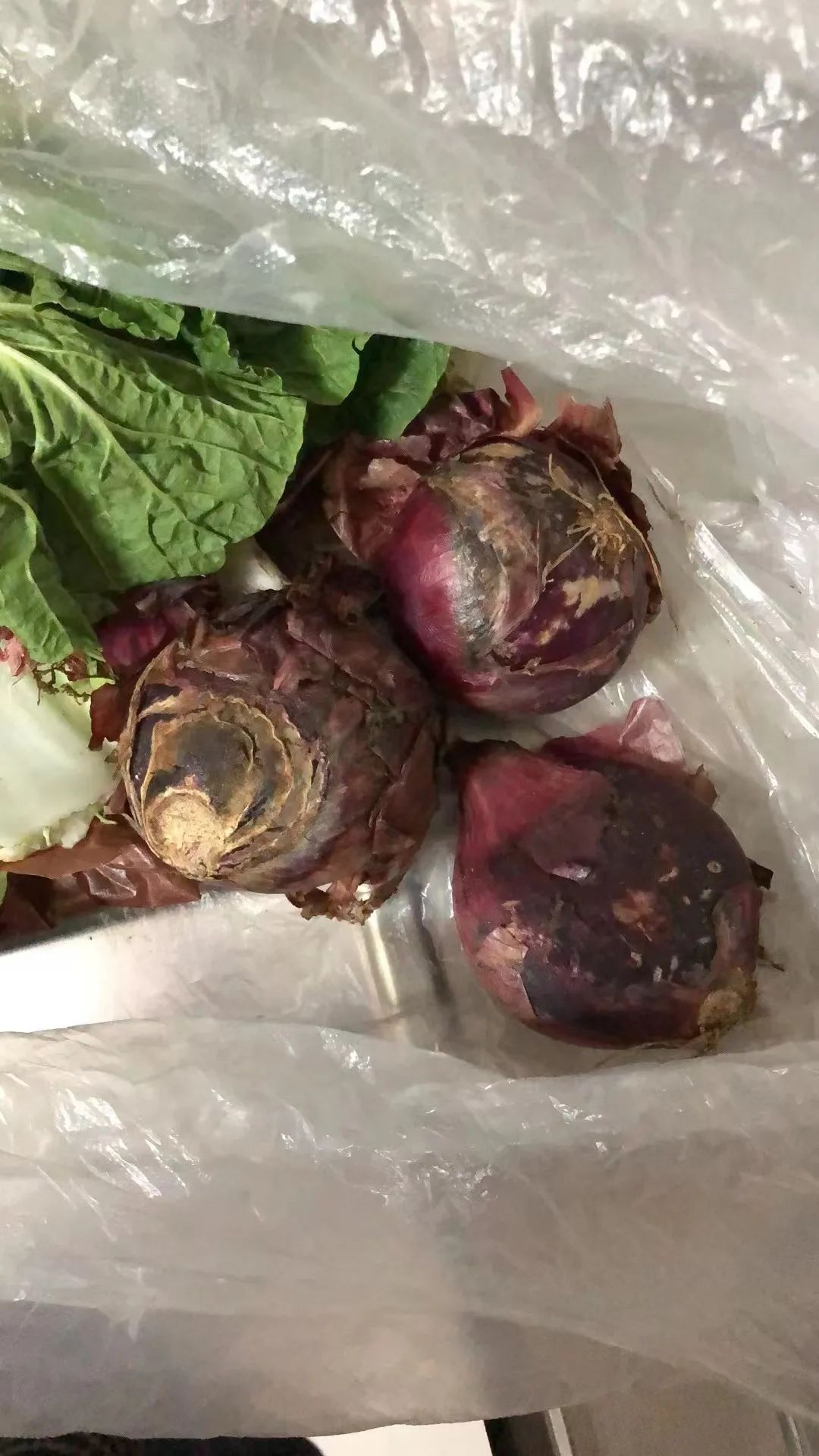 "发放的物资中有5种蔬菜和4个橙子,其中4个洋葱烂了3个,2个土豆都烂了