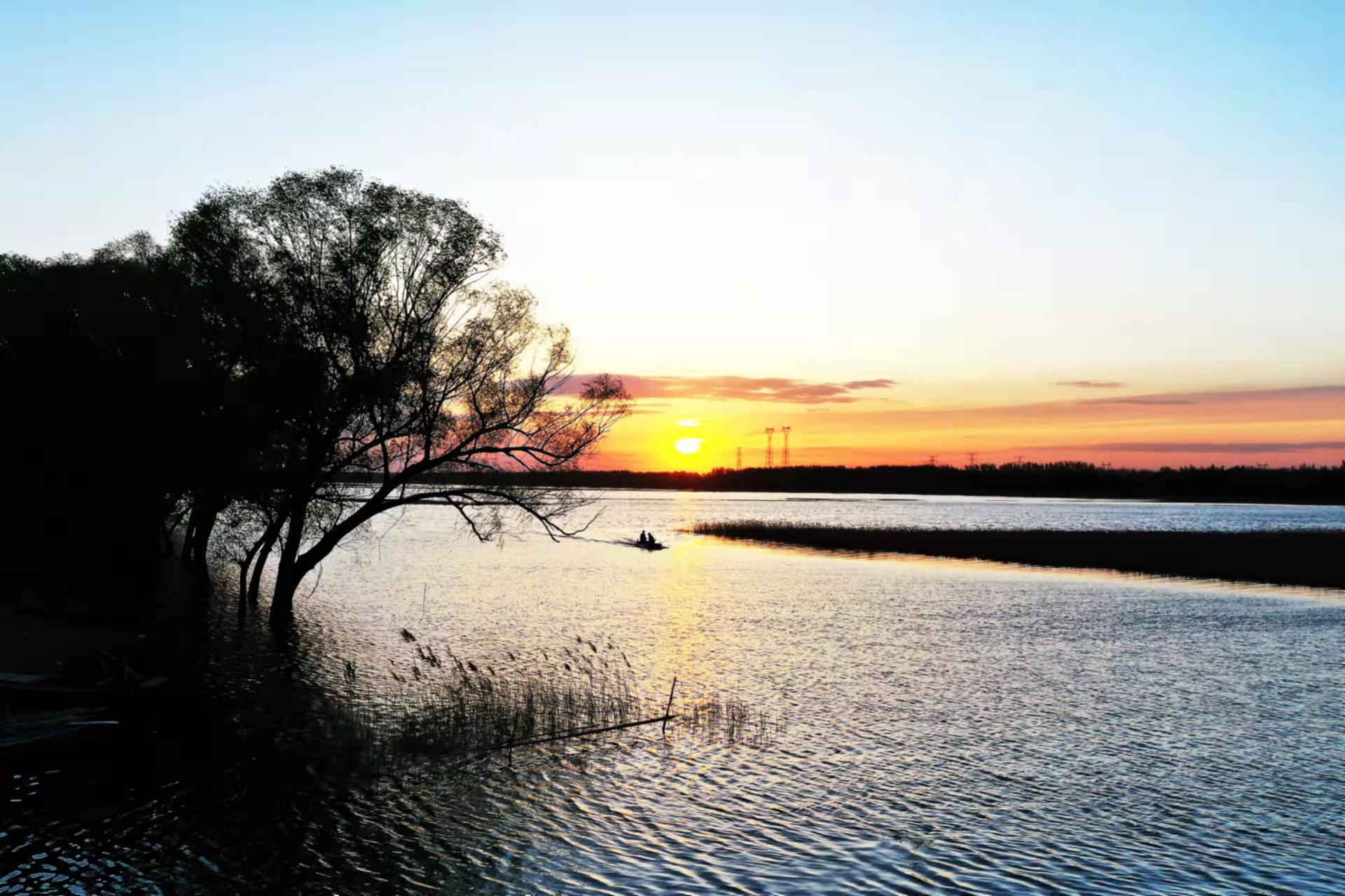 河北省文安县赵王新河湿地公园一角.魏东摄