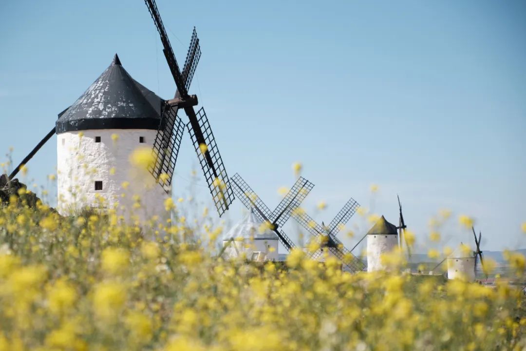 这是4月16日在西班牙孔苏埃格拉拍摄的风车.新华社记者孟鼎博摄