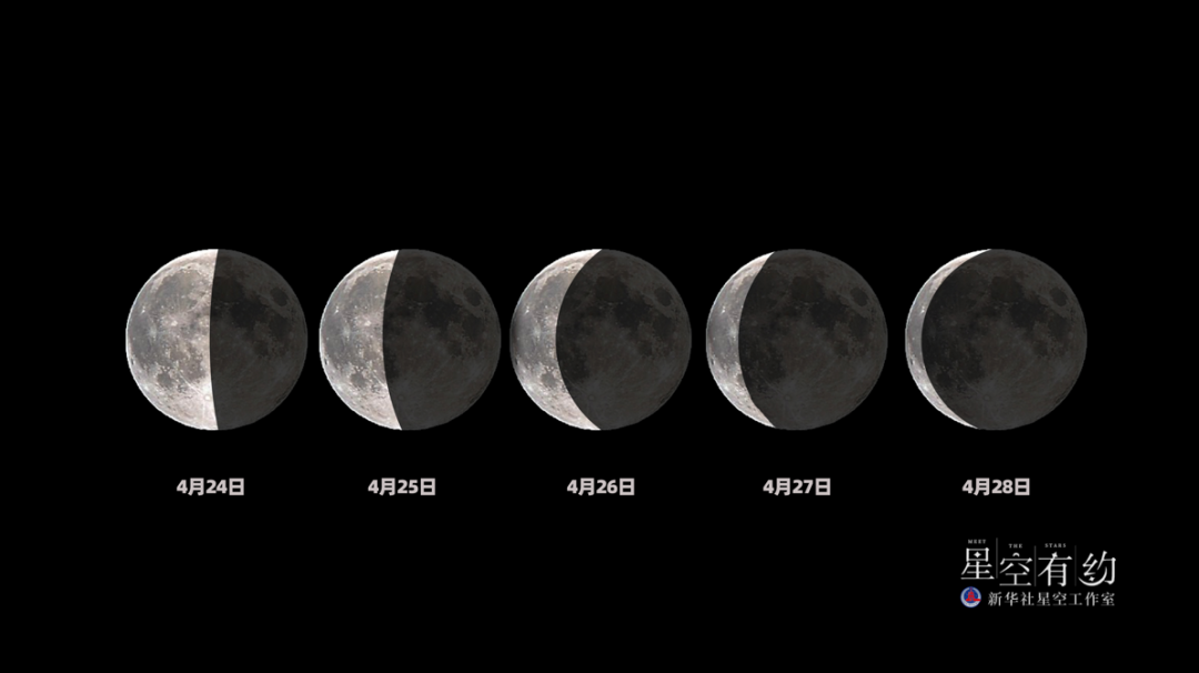 这是4月24日至28日的月相变化.(制作:胡彦竹)