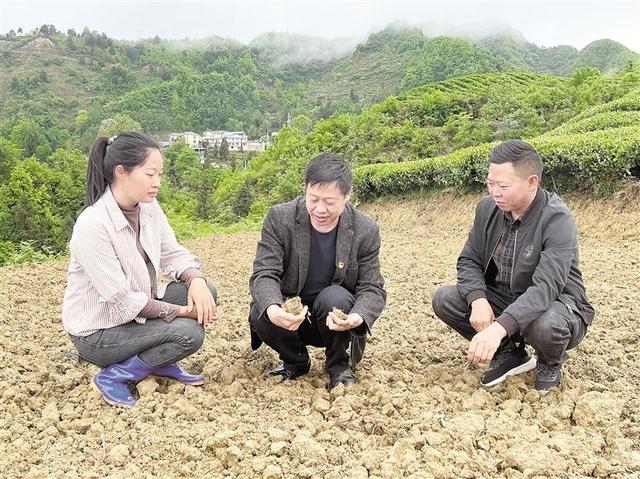 图为九仓镇筲箕湾村党支部书记罗云强(中)为群众讲解大豆种植技术.