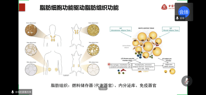 我校举办“红医御甲，科研争锋”基础医学前沿系列讲座活动