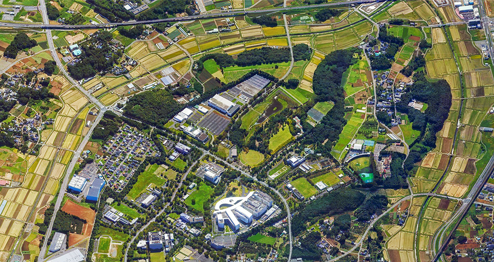 "日本硅谷"的得与失