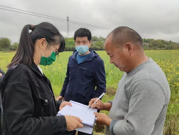 长沙市望城区纪检监察干部下沉田间地头监督,了解春耕生产措施落实情况
