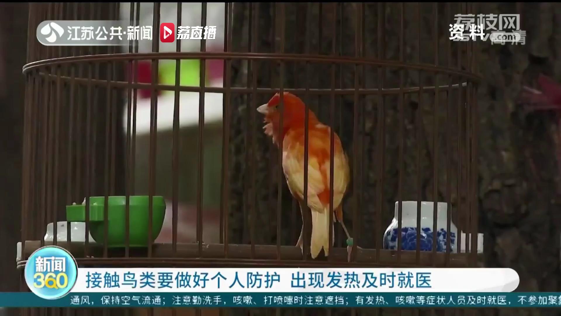 养宠物鸟要注意女子发烧11天细查竟是鹦鹉热