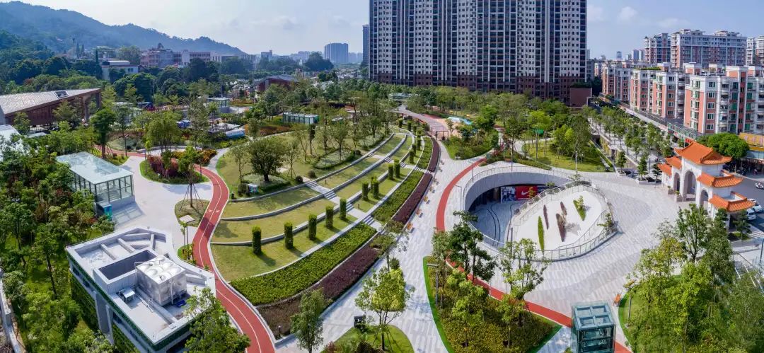 改造建成后的东山公园(来源:郑奕潘)