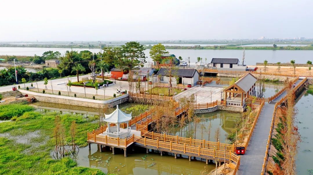 金浦梅花湿地公园(来源:郑奕潘)今天的潮阳正借力"千年古县"的品牌