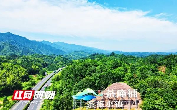 小乡镇大产业①丨常德桃源茶庵铺镇以茶闻名因茶而兴