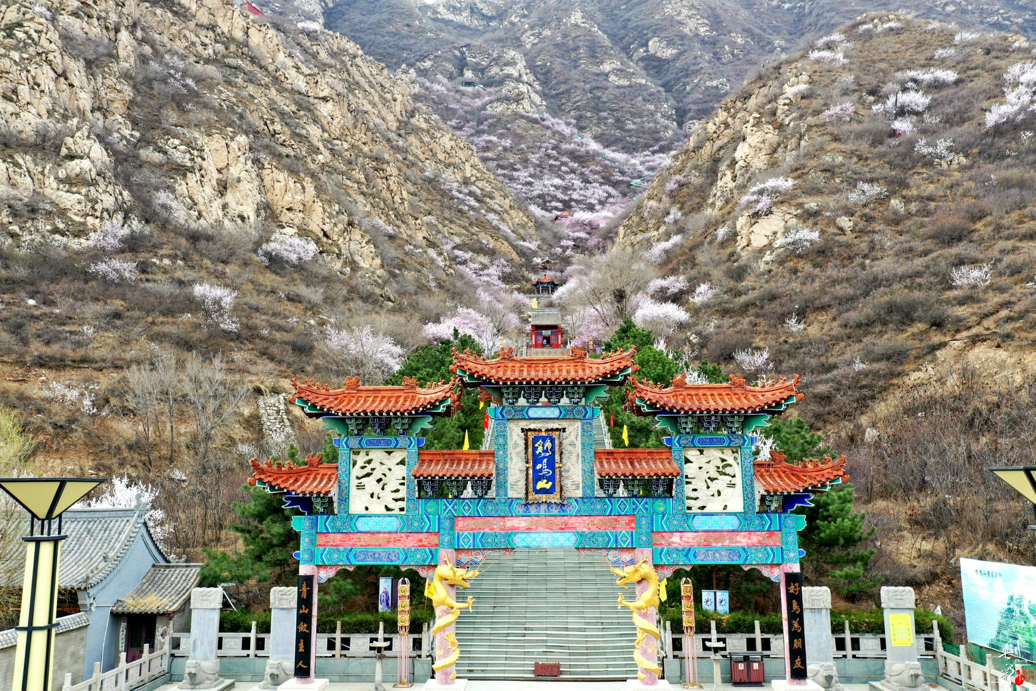 冬奥改变张家口体旅新业态蝶恋千年下花园