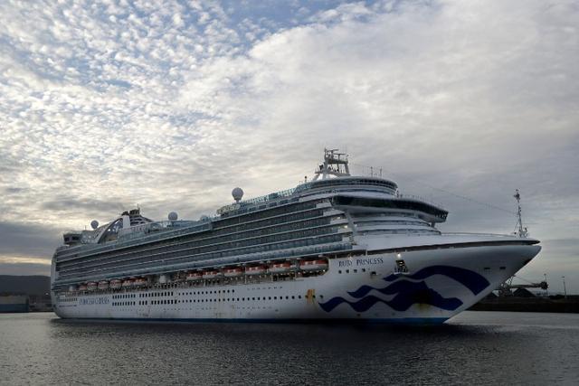 资料图 "红宝石公主号"邮轮(图片来源:新华社)