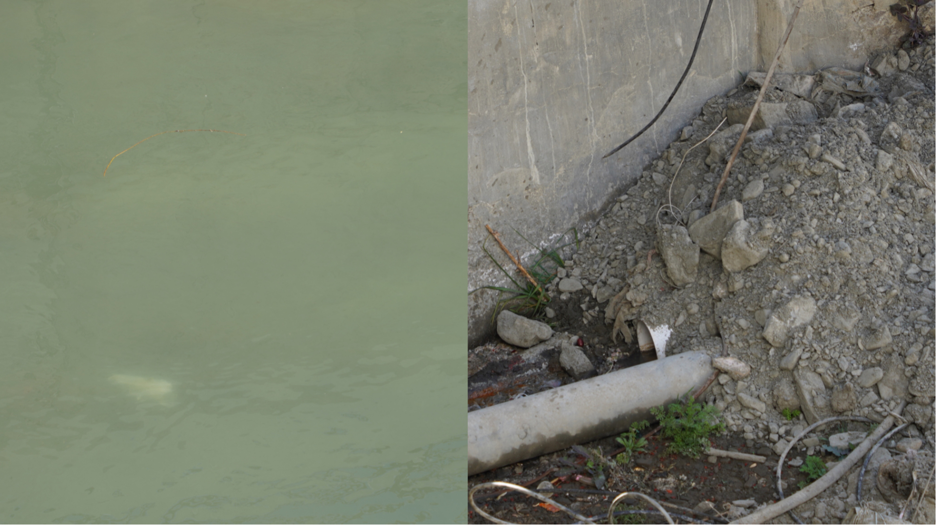 水中的塑料袋和埋在土里的排污管。王珊摄