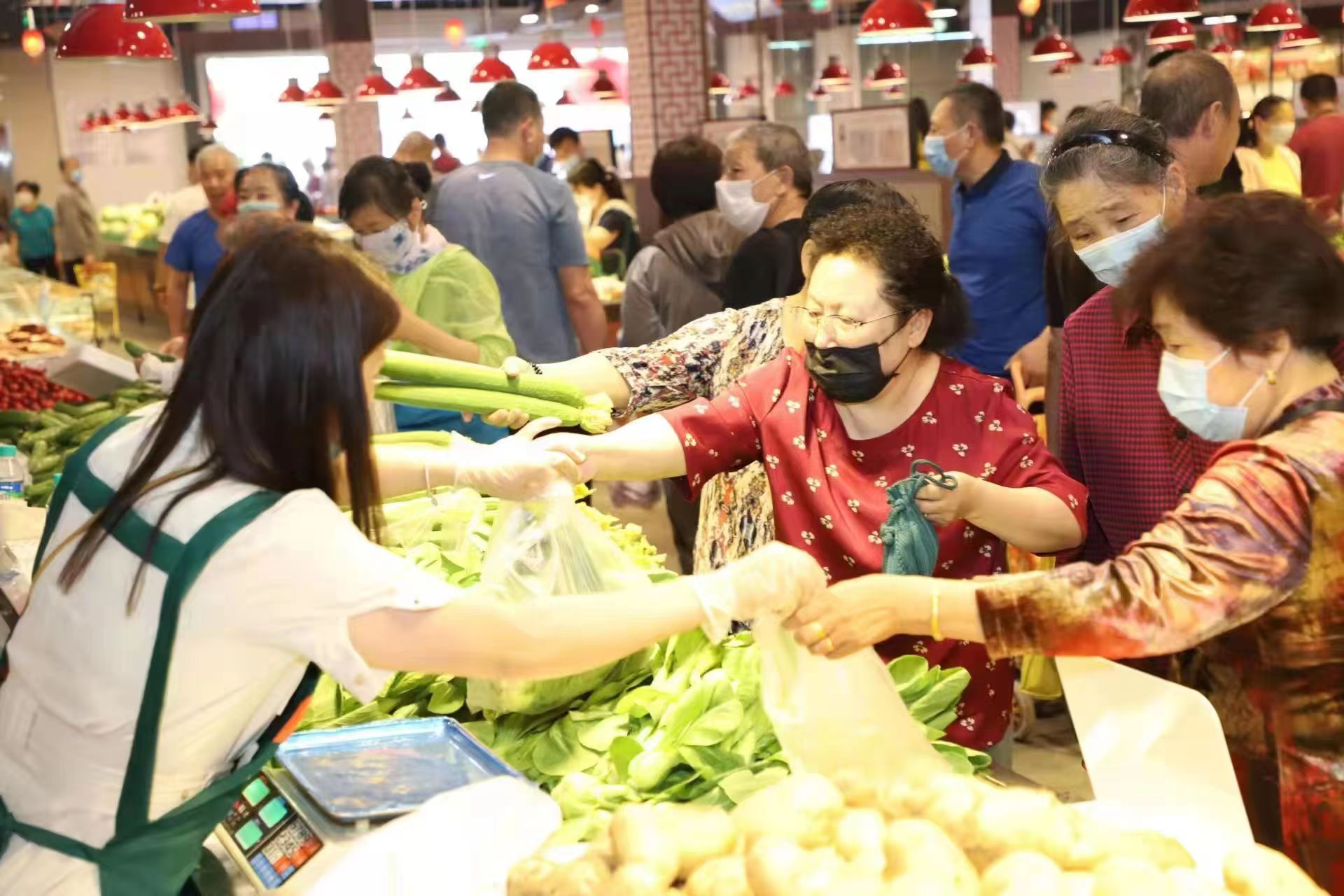 竞秀区乐凯农贸市场的新鲜蔬菜交易火爆.王雅璇摄