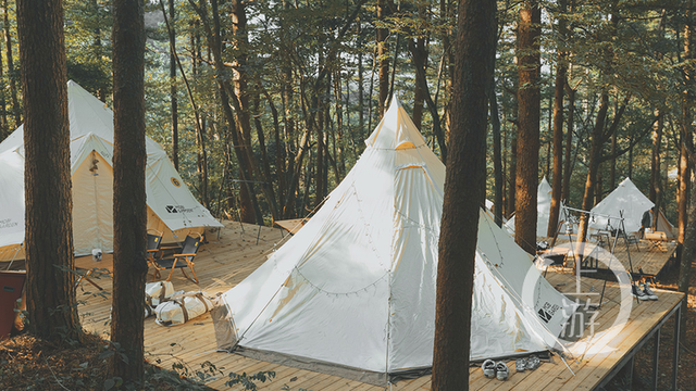 露营场景 受访者供图