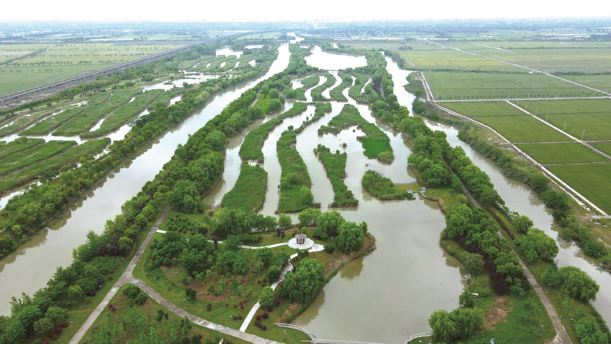 水源湿地 生态绿肺|湿地_新浪财经_新浪网